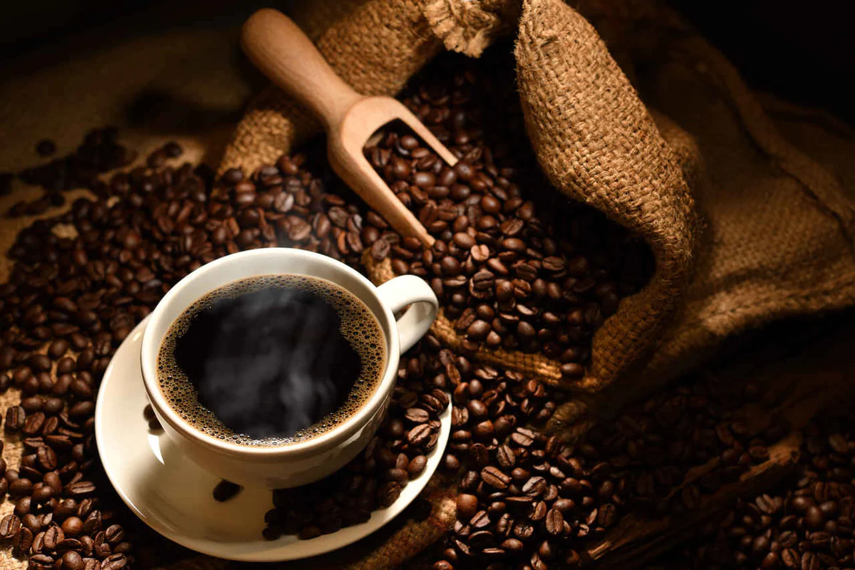 Kahve Tarifleri ve Yapılışları! Kahve Çeşitleri, Aroması ve Bitkisi