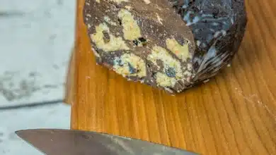 Bisküvili mozaik pasta tatlısı tarifi, fırınsız pişmeyen çikolatalı bisküvi pastası sunumu