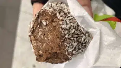 Fit yulaflı kakaolu tatlı tarifi, rafine şekersiz ve pişmeyen diyet kakaolu yulaf topları sunumu