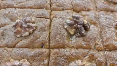 Nevzine tatlısı tarifi, Kayseri usulü tahinli ve pekmez şerbetli cevizli tatlı dilimi sunumu