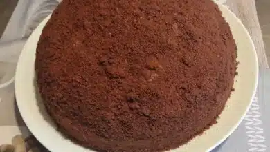 Porsiyonluk köstebek pasta tatlısı tarifi, içi taze muzlu ve sütlü kremalı kakaolu kubbe pasta sunumu