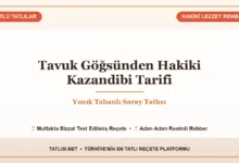 Tavuk Göğsünden Hakiki Kazandibi Tarifi: Yanık Tabanlı Saray Tatlısı Tarifi ve Sunumu, Tatlisi.net